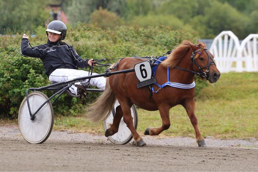 boogiewookiek_siirihaapalainen_kuva_kaisastengard