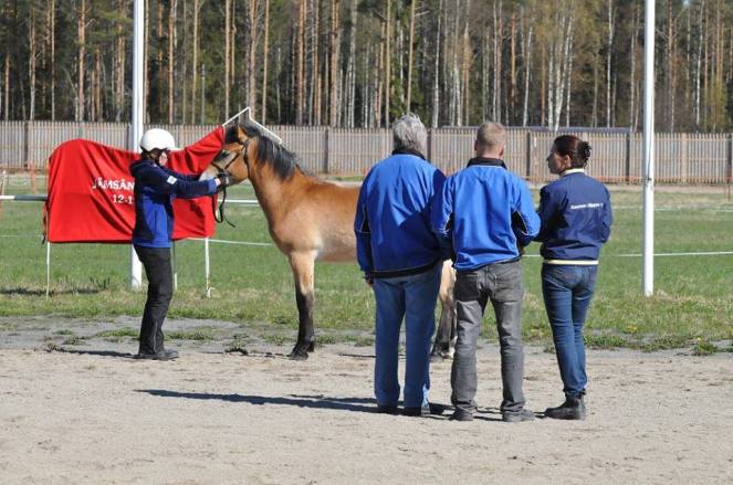 10268671_684480971599487_6888584284800325271_n